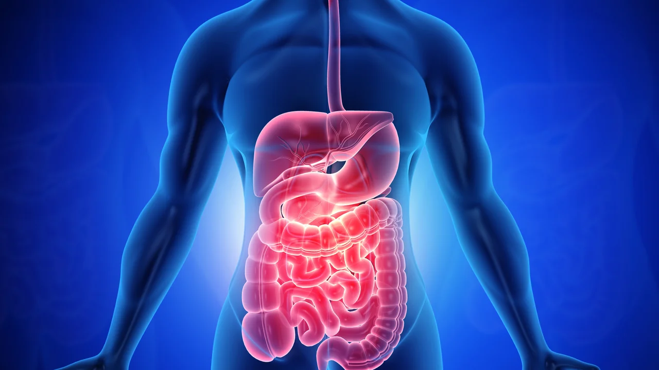 Thumbnail for video about teach me about my digestive system