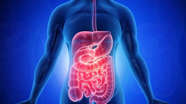 Thumbnail for video about teach me about my digestive system